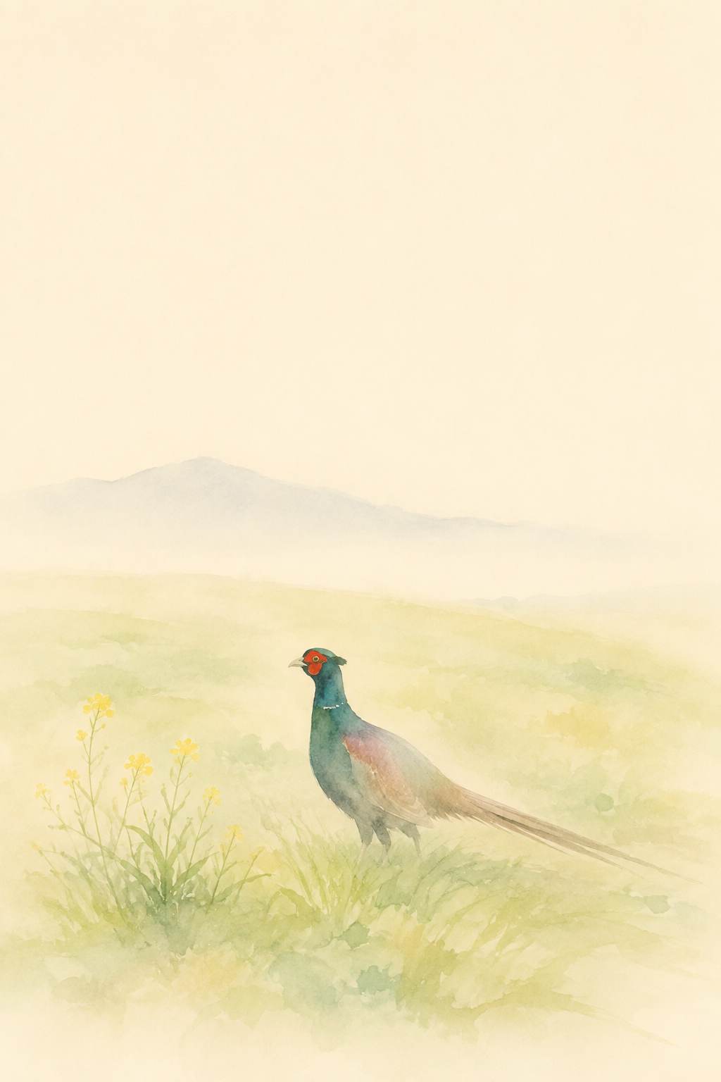 雉子 春野の雉